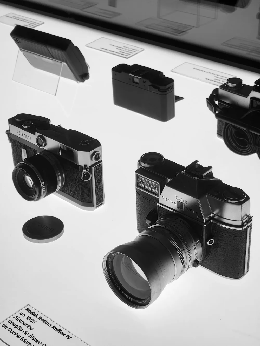 Black and white museum case of vintage cameras, a Canon rangefinder and a Kodak Retina Reflex IV lit from below.